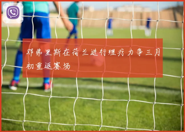 邓弗里斯在荷兰进行理疗力争三月初重返赛场