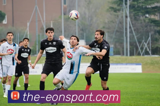 意昂体育平台生态图